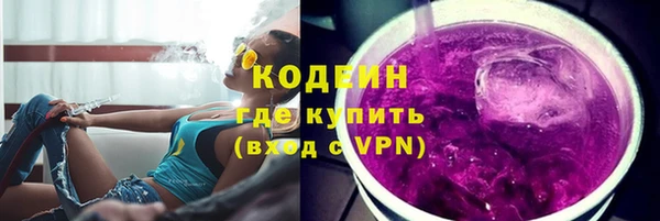 дурь Заводоуковск
