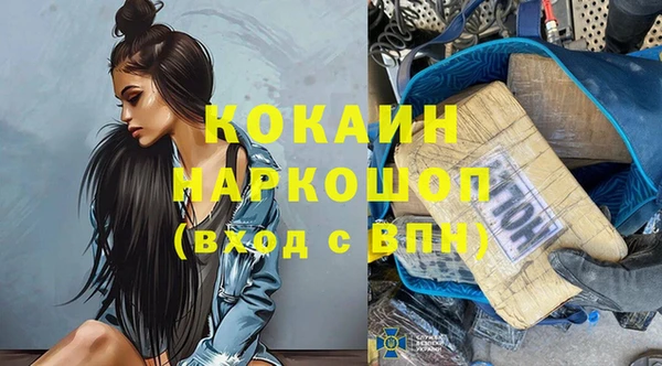 индика Покачи