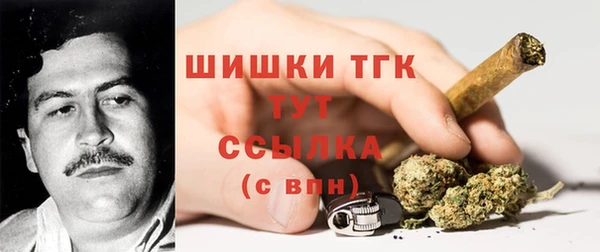 дурь Заводоуковск