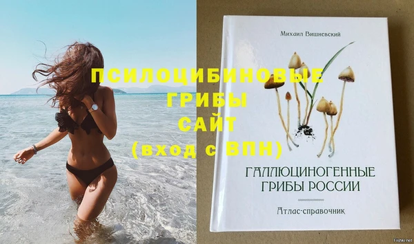 дурь Заводоуковск
