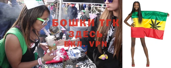 дурь Заводоуковск